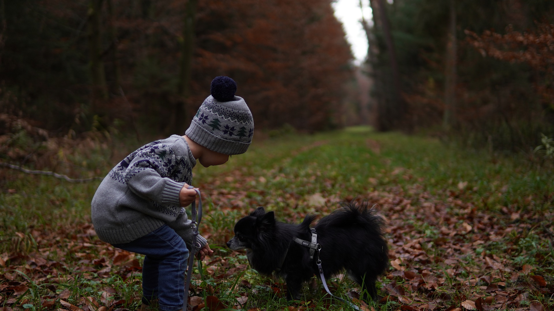 child-6811734_1920