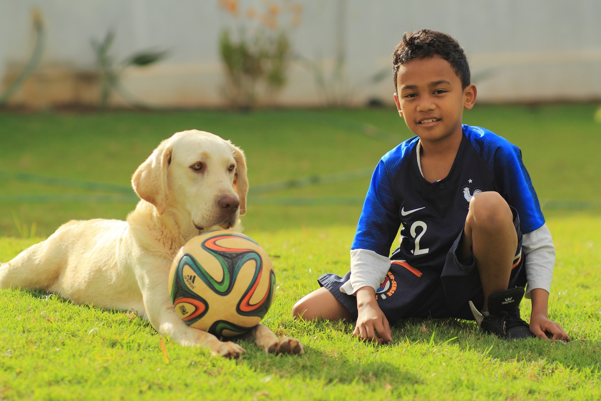 football-3503750_1920